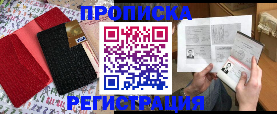 прописка поиск в Курской области